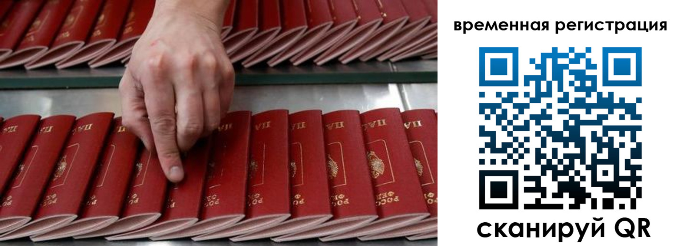 временная регистрация в квартире в Михайловке